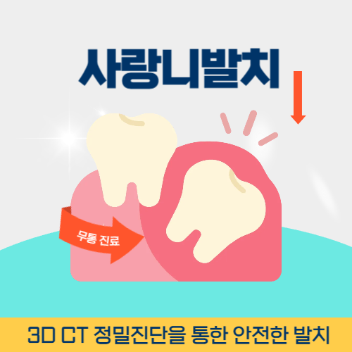 남양주치과 남양주시 치과 사랑니 발치